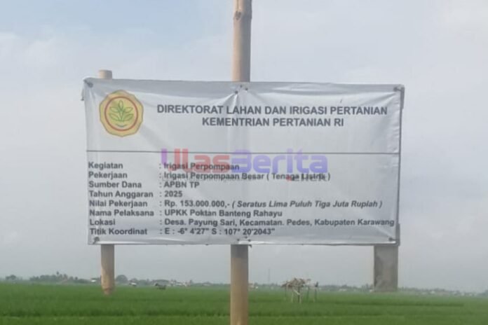 Picsart_25-06-28_14-29-39-619