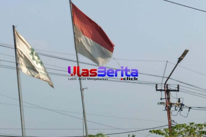 Picsart_25-07-07_12-44-49-195