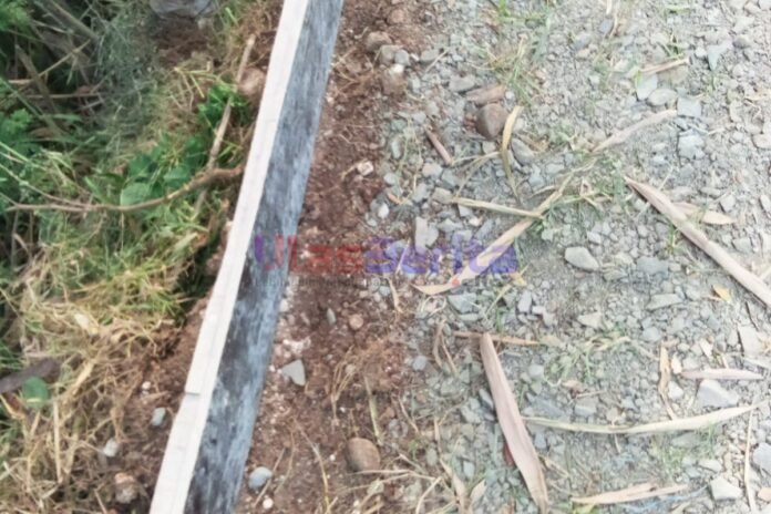 Picsart_25-12-03_08-08-58-973