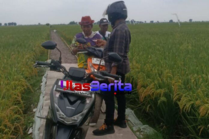 Picsart_25-12-24_16-49-40-936