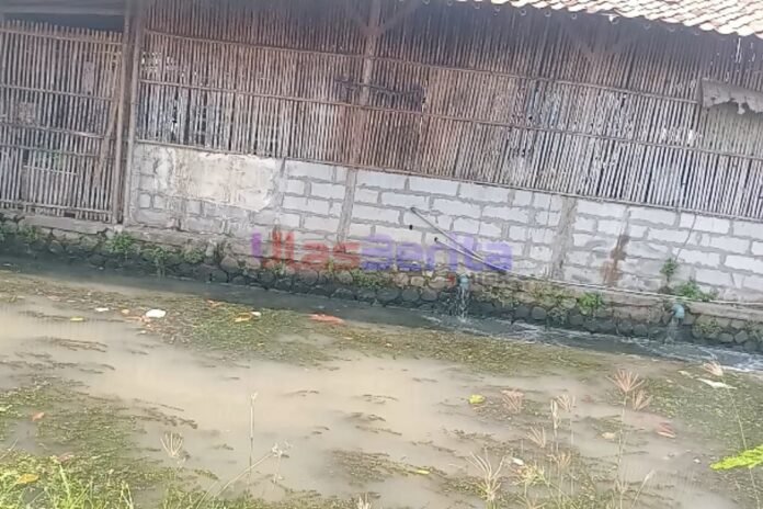 Picsart_26-01-16_18-14-07-695