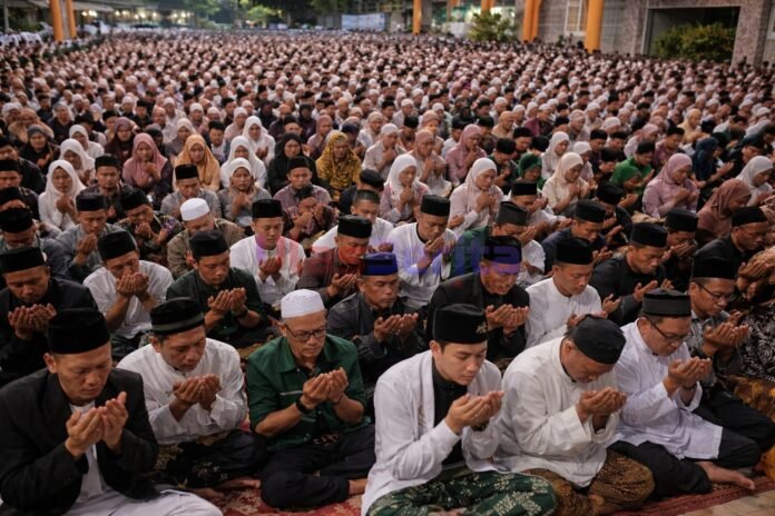 Picsart_26-03-29_13-44-12-818